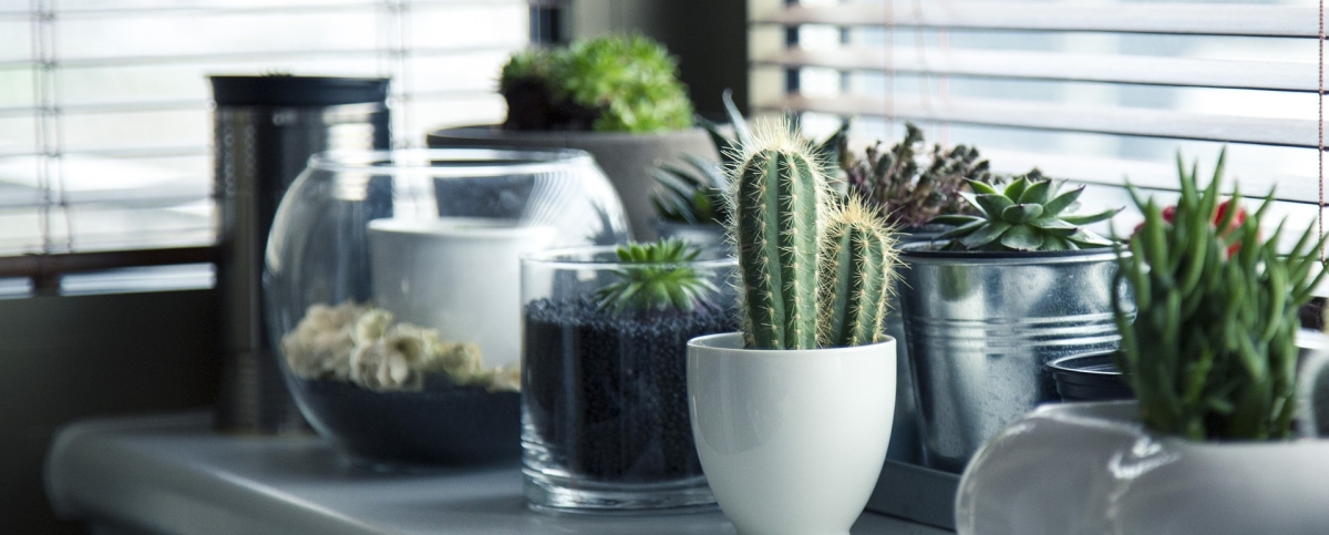 edit-pots-716579_1920