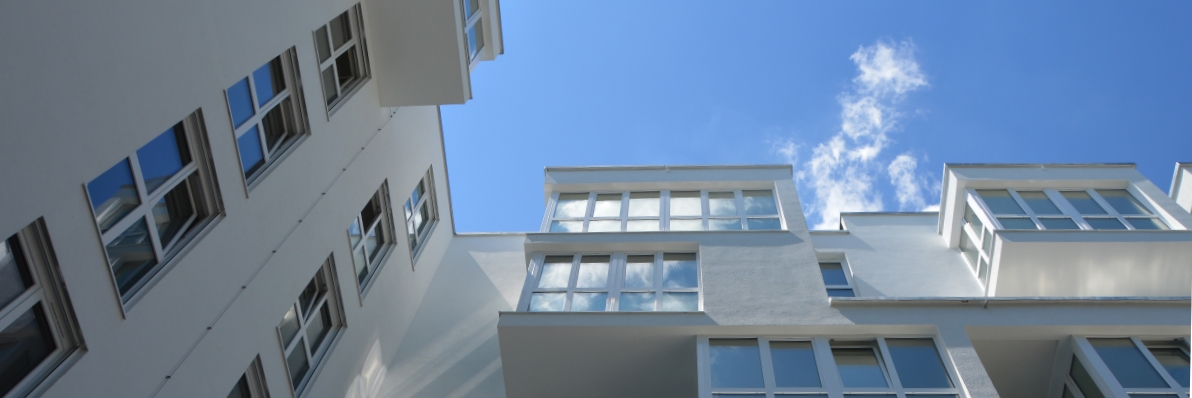pexels-photo2